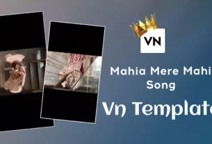 Mahiya Mera Maahi Song Vn Template Code Editing