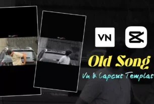 Bheed mein Old Song Vn & Capcut Template