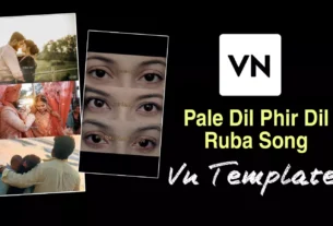 Pahle Dil Phir Song Vn Template Code Editing New Vira Vn Code Pahle Dil Phir Song Vn Template