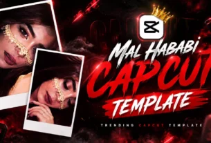Mal Habibi song Viral Reels Capcut Template