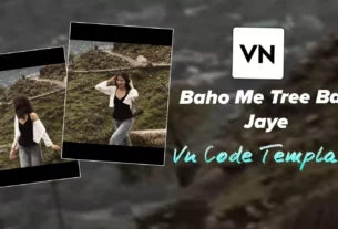 Baahon Main De Bas Jaane Lyrics Vn Template Code Editing
