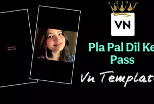 Pal Pal dil ke Pass Song Viral Vn Code Editing