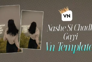Nashe si chadh Gayi Song Viral Lyrics Vn Code